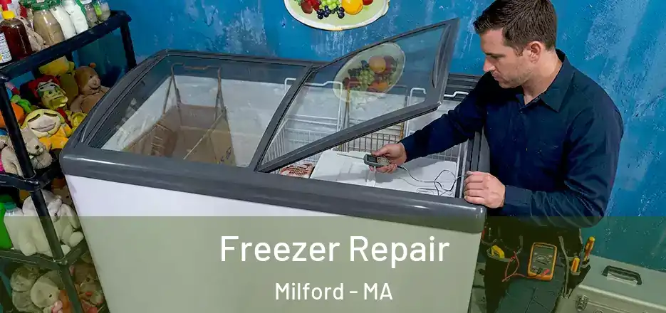 Freezer Repair Milford - MA