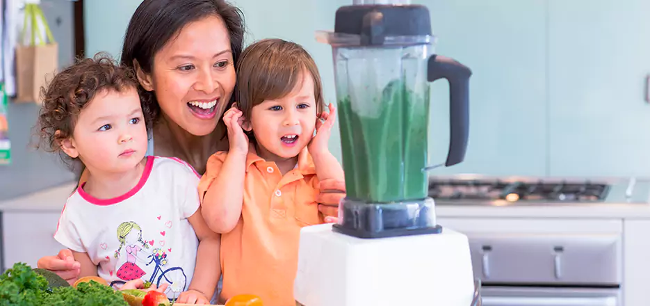 Juicer and Mixer Blender Repair in Milford