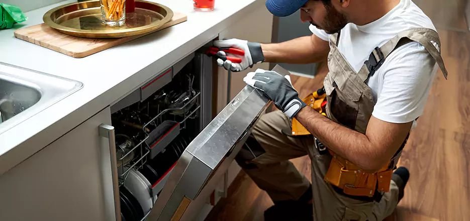 Same Day Dishwasher Not Draining Repair in Milford