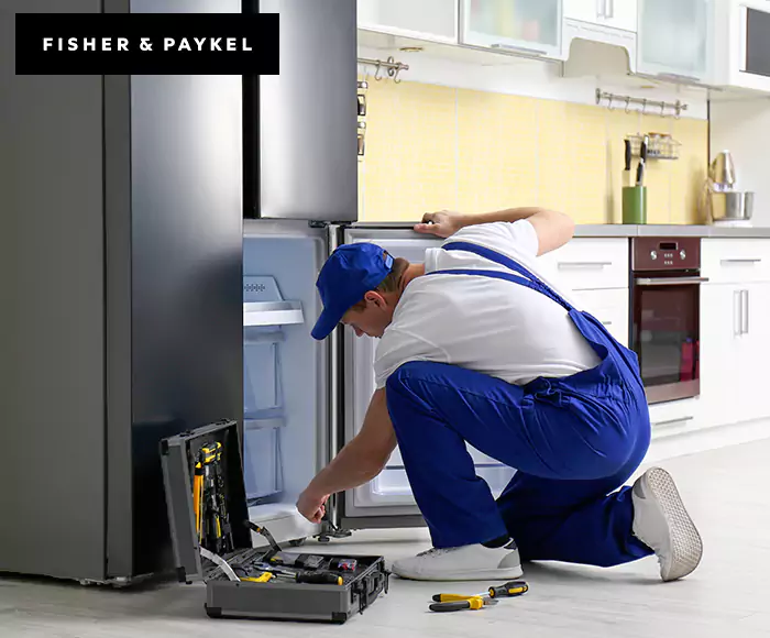 Top-Rated Fisher & Paykel Appliance Experts: Your Brand Specialist in Milford, MA